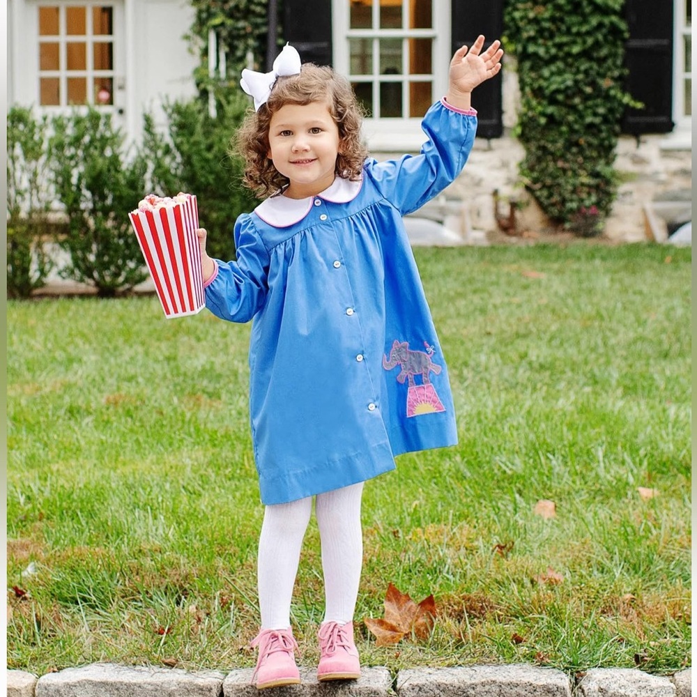 The Beaufort Bonnet Company Circus Dress size 5